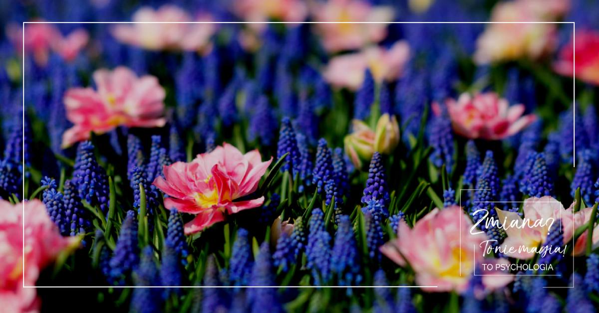 Projekt bez tytułu 3